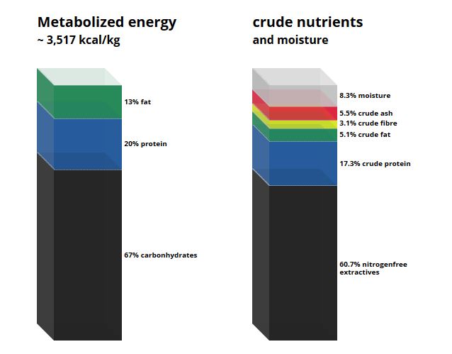 C 1046 Cobalt deficient diet.JPG